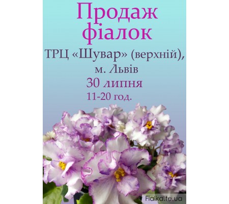 Виставка фіалок во Львове 25 мая 2021р.