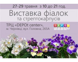 Выставка фиалок в Черновцах 13-15 мая 2016