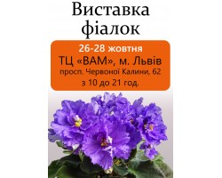 Выставка фиалок во Львове 26-28 октября 2018