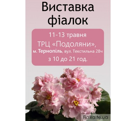 Выставка фиалок в Тернополе 11-13 мая