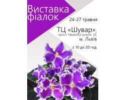 Выставка фиалок во Львове 24-27 мая 2018 г.