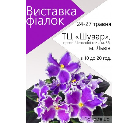 Выставка фиалок во Львове 24-27 мая 2018 г.