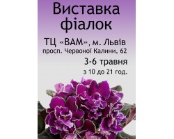 Выставка фиалок во Львове 3-6 мая 2018 г.