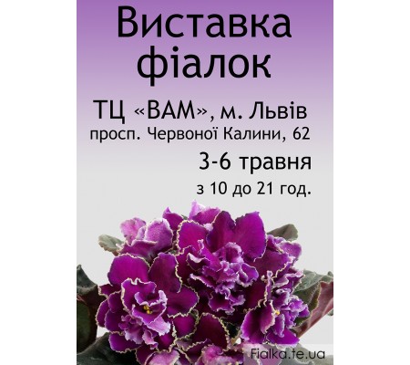 Выставка фиалок во Львове 3-6 мая 2018 г. Выставка фиалок во Львове 3-6 мая 2018 г.