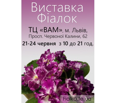 Выставка фиалок во Львове 21-24 июня 2018 г. Выставка фиалок во Львове 21-24 июня 2018 г.