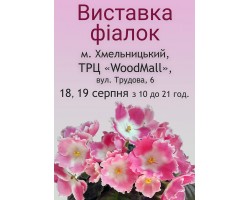 Выставка фиалок в Хмельницком 18-19 августа 2018