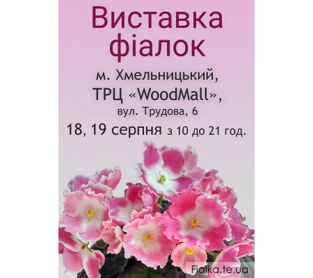 Выставка фиалок в Хмельницком 18-19 августа 2018