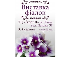 Выставка фиалок во Львове 3, 4 августа