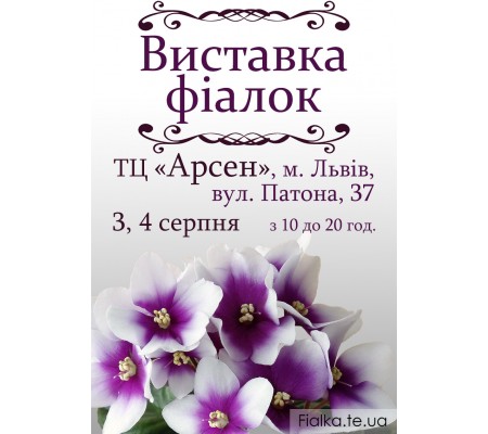 Выставка фиалок во Львове 3, 4 августа Выставка фиалок во Львове 3, 4 августа