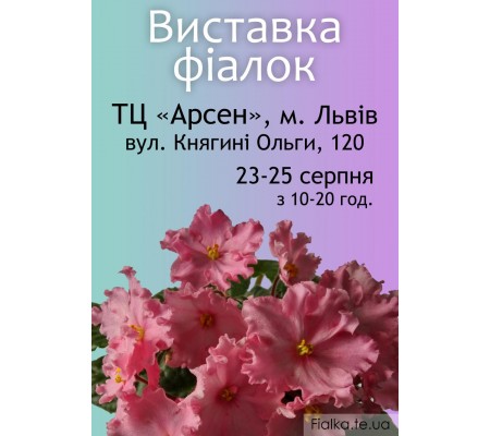 Выставка фиалок во Львове 23-25 августа Выставка фиалок во Львове 23-25 августа