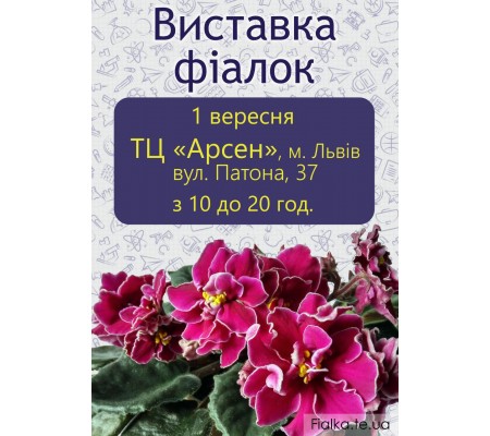 Выставка фиалок во Львове 1 сентября