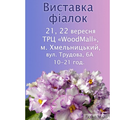 Выставка фиалок в Хмельницком 21-22 сентября