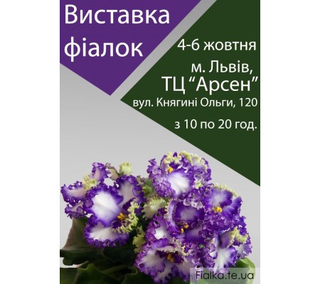 Выставка фиалок во Львове 4-6 октября