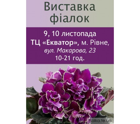 Выставка фиалок в Ровно 9, 10 ноября