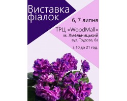 Выставка фиалок в Хмельницком 6, 7 июля