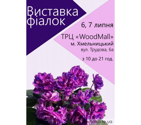 Выставка фиалок в Хмельницком 6, 7 июля Выставка фиалок в Хмельницком 6, 7 июля