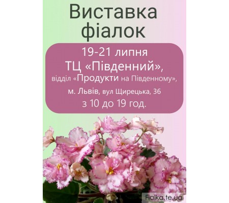 Выставка фиалок во львове19-21 июля Выставка фиалок во львове19-21 июля