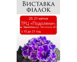 Выставка фиалок в Тернополе 20, 21 апреля