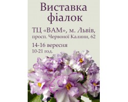 Выставка фиалок во Львове 14-16 сентября 2018