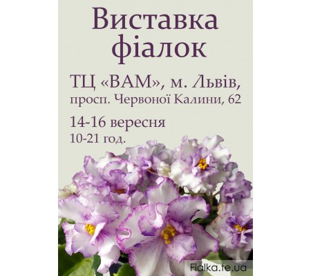 Выставка фиалок во Львове 14-16 сентября 2018