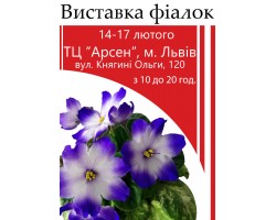 Выставка фиалок во Львове то 14-17 февраля 2019р