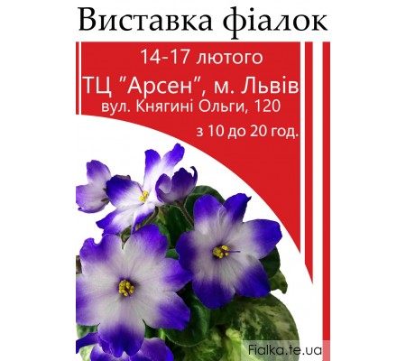 Выставка фиалок во Львове то 14-17 февраля 2019р Выставка фиалок во Львове то 14-17 февраля 2019р