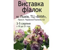 Выставка фиалок во Львове 3-5 августа 2018