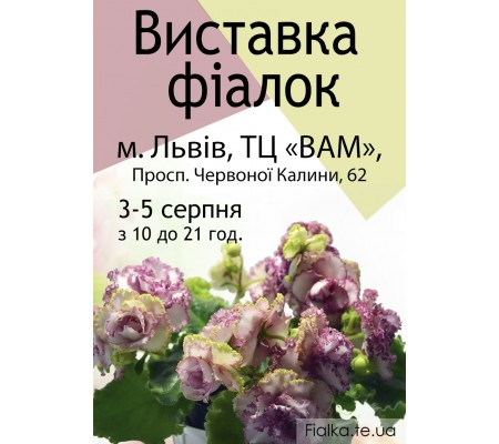 Выставка фиалок во Львове 3-5 августа 2018 Выставка фиалок во Львове 3-5 августа 2018