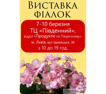 Выставка фиалок во Львове 7-10 марта 2019р