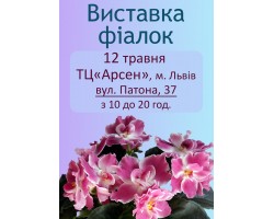 Выставка фиалок во Львове 12 мая