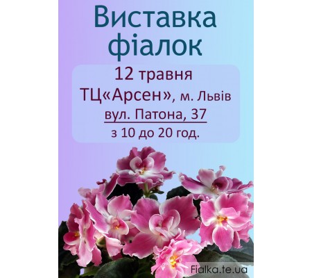 Выставка фиалок во Львове 12 мая Выставка фиалок во Львове 12 мая