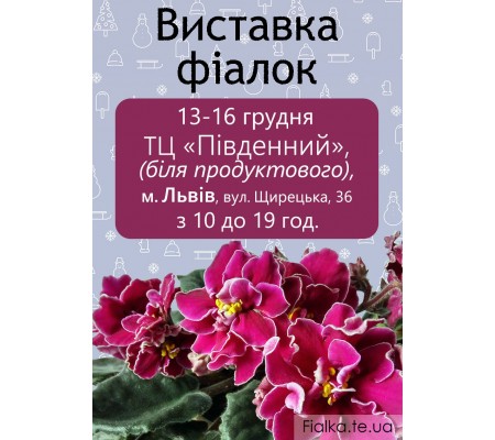 Выставка фиалок во Львове 13-16 декабря