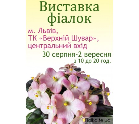 Выставка фиалок во Львове 30 августа-2 сентября 2018 г.