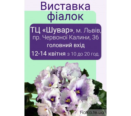 Выставка фиалок во Львове 12-14 апреля 2019р. Выставка фиалок во Львове 12-14 апреля 2019р.