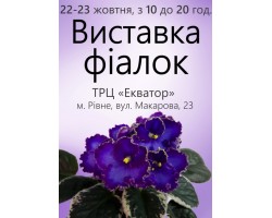 Выставка фиалок в Ровно 22-23 октября 2016