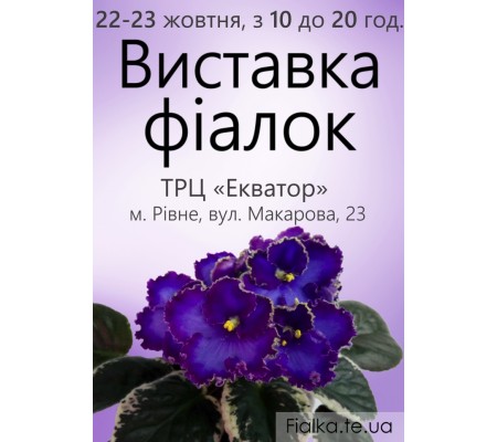 Выставка фиалок в Ровно 22-23 октября 2016 Выставка фиалок в Ровно 22-23 октября 2016