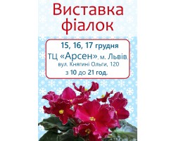 Выставка фиалок во Львове 15-17 декабря 2017