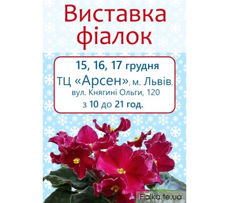 Выставка фиалок во Львове 15-17 декабря 2017