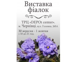 Выставка фиалок в Черновцах 30 сентября - 1 октября 2017