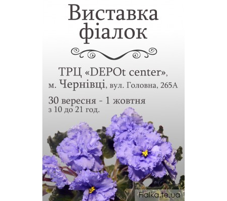 Выставка фиалок в Черновцах 30 сентября - 1 октября 2017