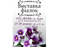 Виставка фіалок у Львові 27, 28, 29 жовтня 2017 р.