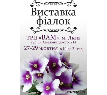 Виставка фіалок у Львові 27, 28, 29 жовтня 2017 р.