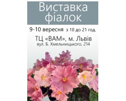 Выставка фиалок во Львове 9-10 сентября 2017