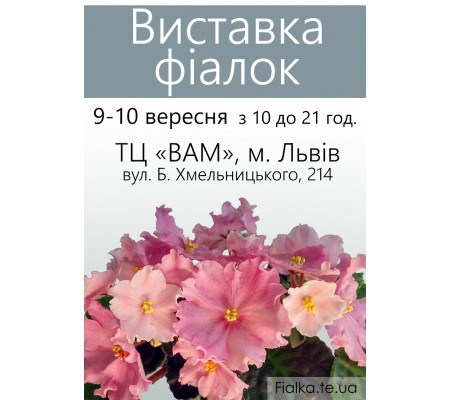Выставка фиалок во Львове 9-10 сентября 2017 Выставка фиалок во Львове 9-10 сентября 2017