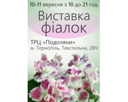 Выставка фиалок в Тернополе 10-11 сентября 2016