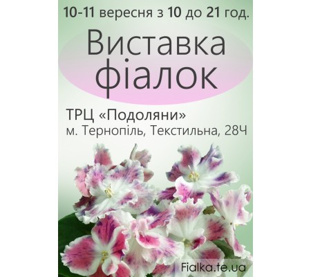 Выставка фиалок в Тернополе 10-11 сентября 2016