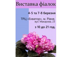Выставка фиалок в Ровно 4-5 и 7-8 марта 2017 г.