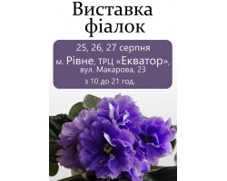 Выставка фиалок ко дню города Ровно 25-27 августа 2017