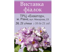 Выставка фиалок в городе Ровно 20-21 января 2018р