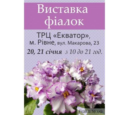 Выставка фиалок в городе Ровно 20-21 января 2018р